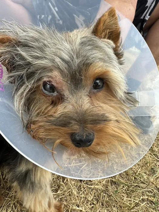 Spring Hill Animal Clinic 12