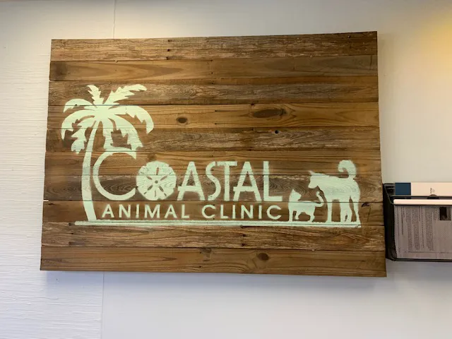 Coastal Animal Clinic 12
