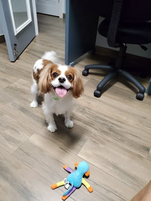 Cornerstone Veterinary Hospital 12