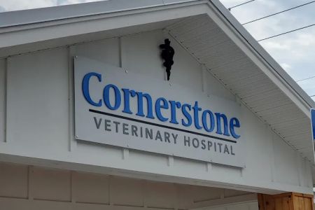 Cornerstone Veterinary Hospital