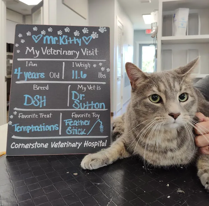 Cornerstone Veterinary Hospital 12