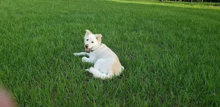 Midway Animal Hospital- Largo 12