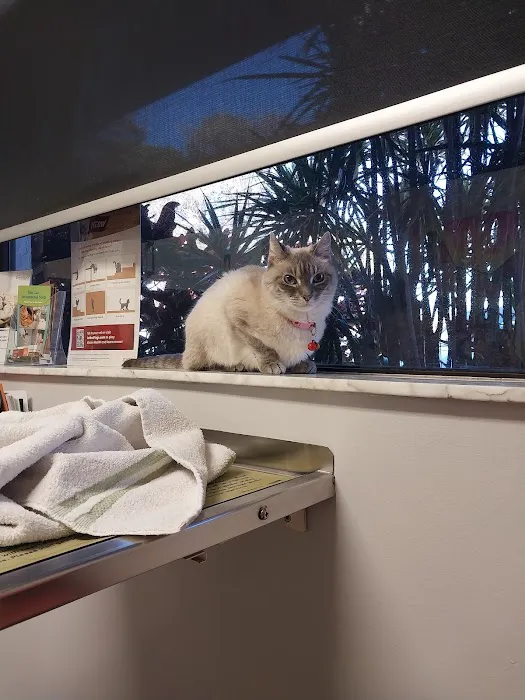 Largo Veterinary Hospital 12