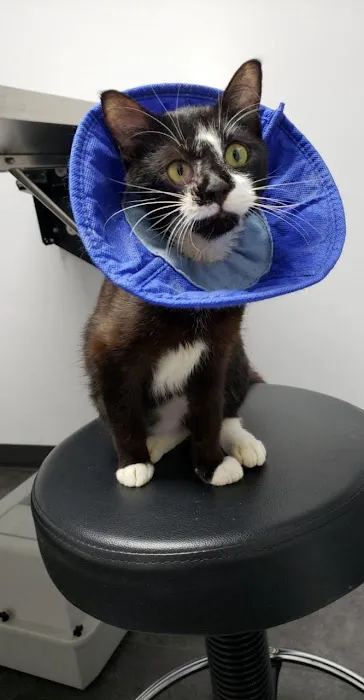 Largo Veterinary Hospital 12