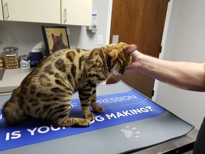 Largo Veterinary Hospital 12