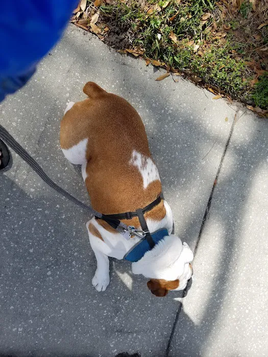 Banfield Pet Hospital 12