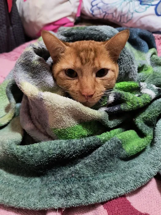 Banfield Pet Hospital 12