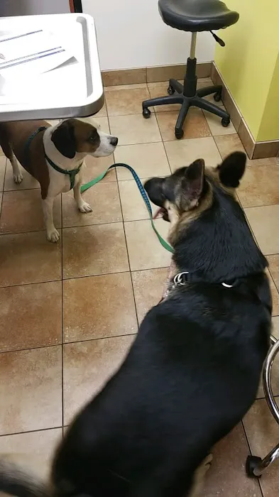 Banfield Pet Hospital 12