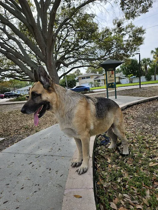 Dr.Stenzel Clearwater Animal Clinic 6