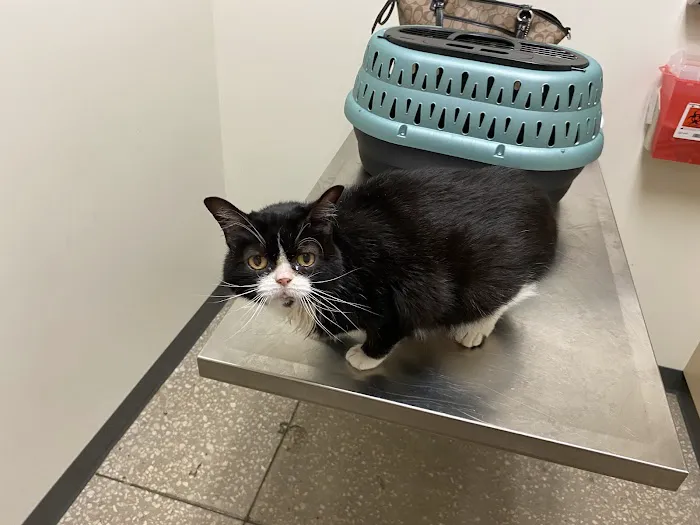 Vetco Total Care Animal Hospital 3