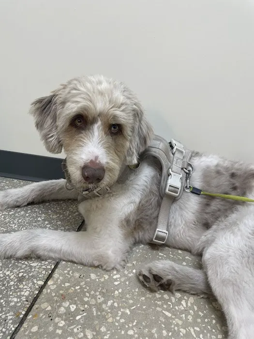 Vetco Total Care Animal Hospital 5
