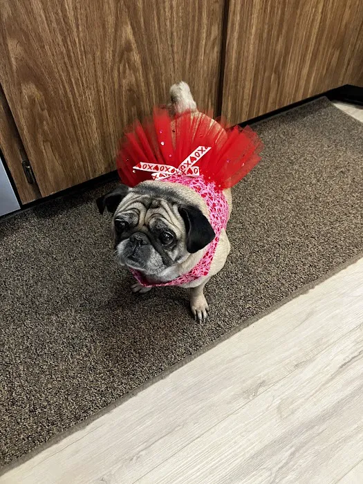 Seminole Blvd Animal Hospital 12