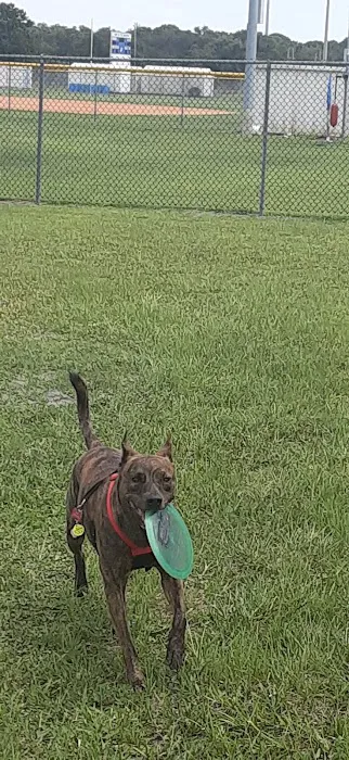 Seminole Blvd Animal Hospital 12
