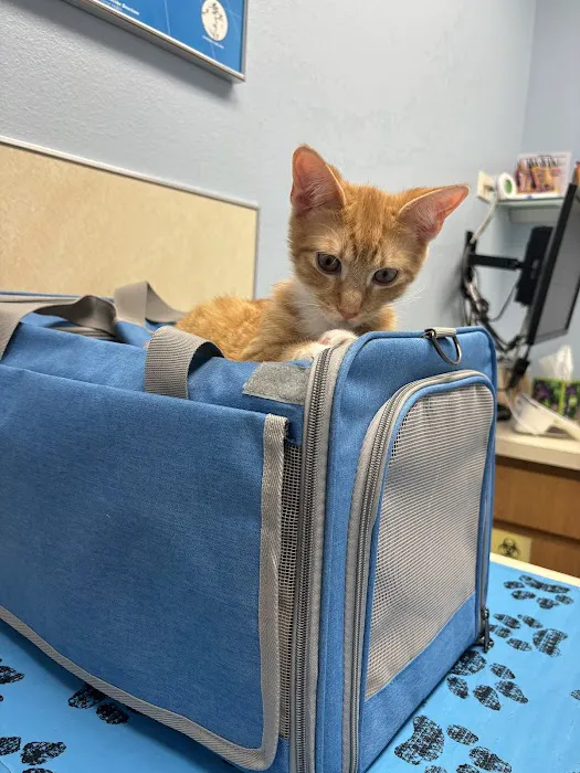 Seminole Blvd Animal Hospital 12