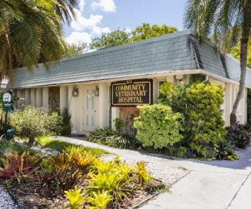 Community Veterinary Hospital