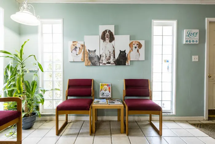 Community Veterinary Hospital 2
