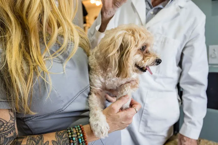 Community Veterinary Hospital 7