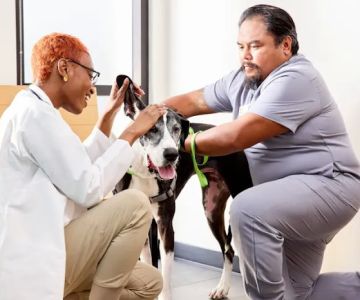 Banfield Pet Hospital