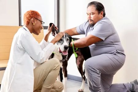 Banfield Pet Hospital