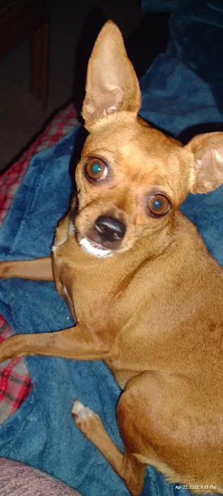Banfield Pet Hospital 4