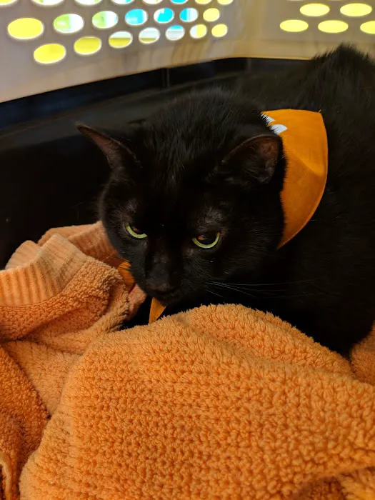 Banfield Pet Hospital 7