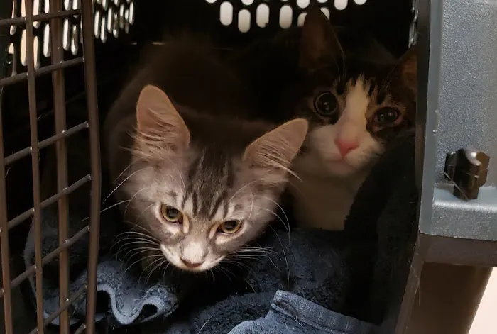 Banfield Pet Hospital 5
