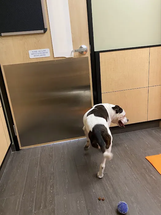 Banfield Pet Hospital 8