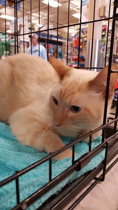 Banfield the Pet Hospital: Backus Angela DVM 12