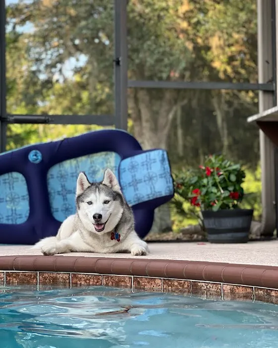 Parting Paws - Pet Euthanasia in the privacy and comfort of your home 12