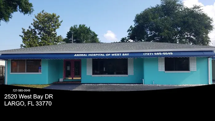 Animal Hospital of West Bay 12