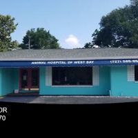 Animal Hospital of West Bay ico