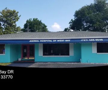 Animal Hospital of West Bay