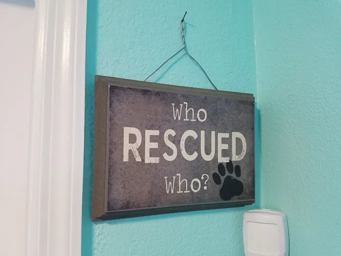 Animal Hospital of West Bay 12