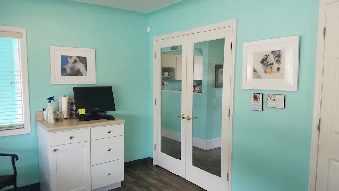 Animal Hospital of West Bay 12