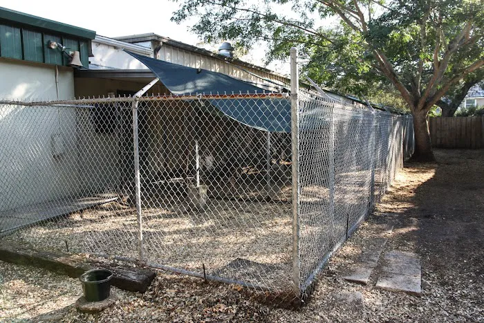 Oakhurst Veterinary Hospital 8