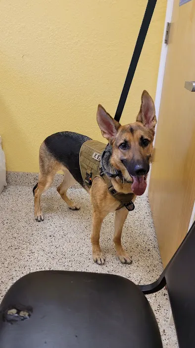 Indian Rocks Beach Animal Hospital 12
