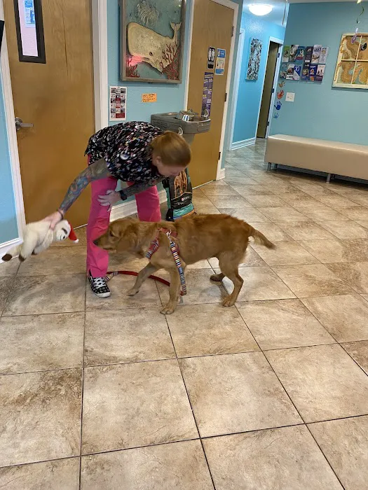 Indian Rocks Beach Animal Hospital 12