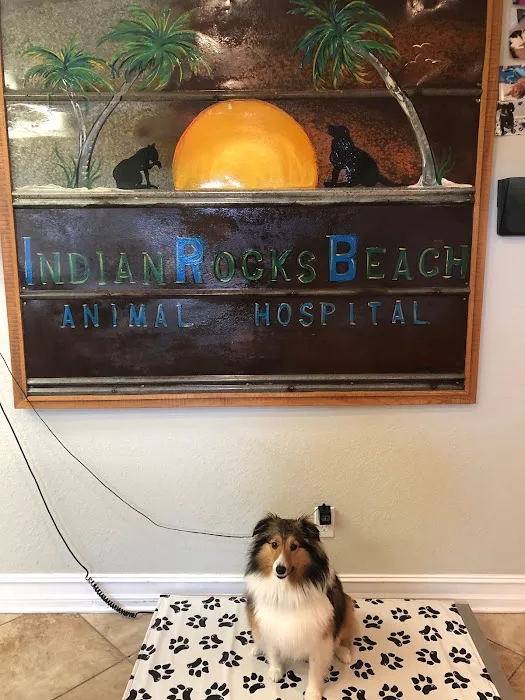 Indian Rocks Beach Animal Hospital 12