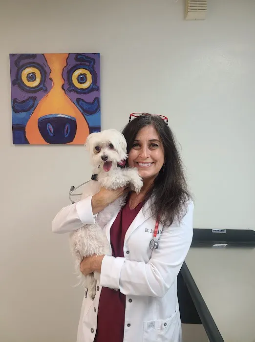 Love Animal Hospital 12