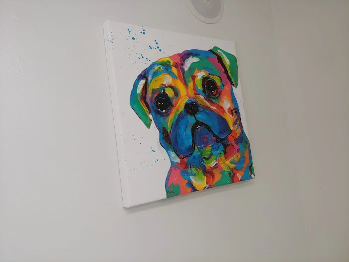 Love Animal Hospital 12