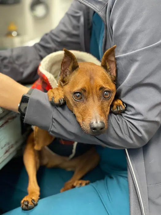 Animal Hospital of Largo 6