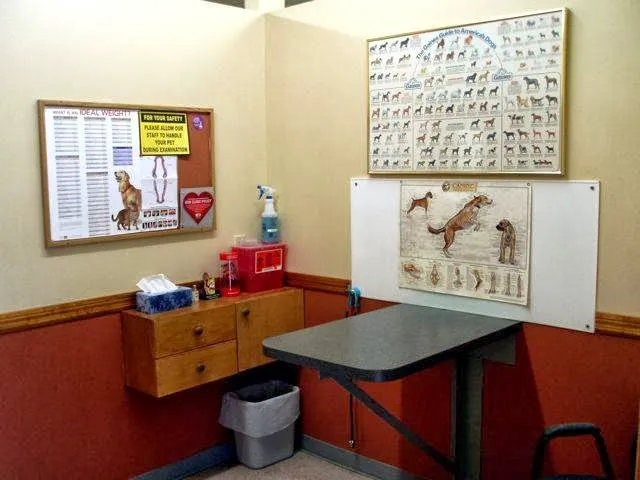 Southeast Animal Clinic 12