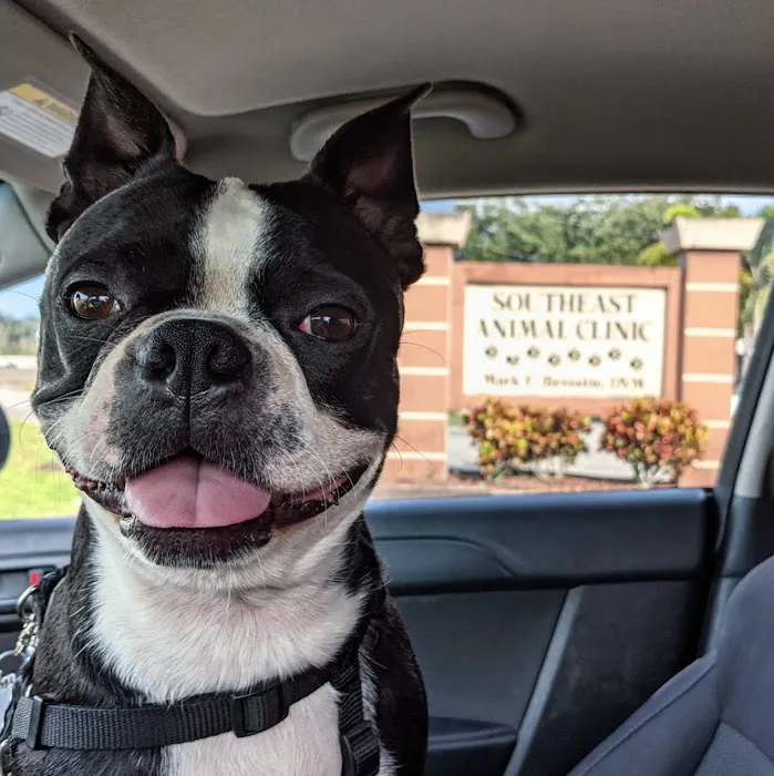 Southeast Animal Clinic 12