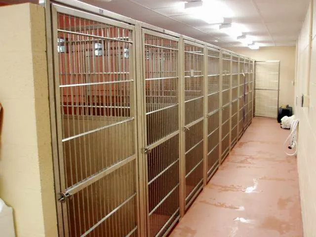 Southeast Animal Clinic 12