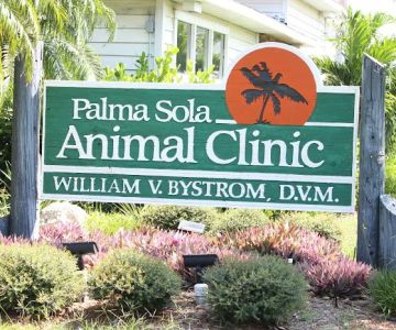 Palma Sola Animal Clinic
