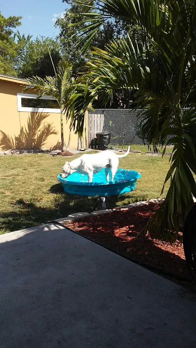 Hagan's Pet Resort 12