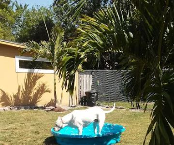 Hagan's Pet Resort