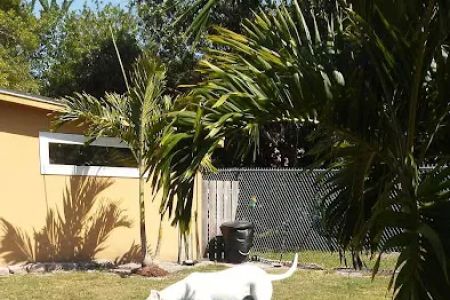 Hagan's Pet Resort