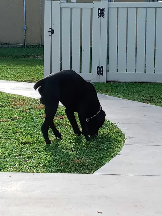 Hagan's Pet Resort 12