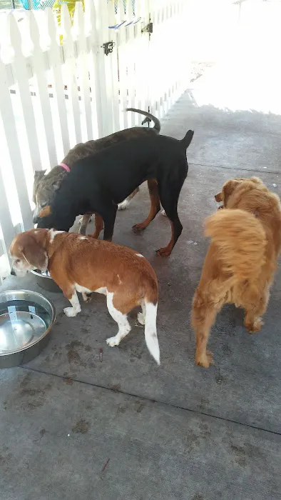 Hagan's Pet Resort 12